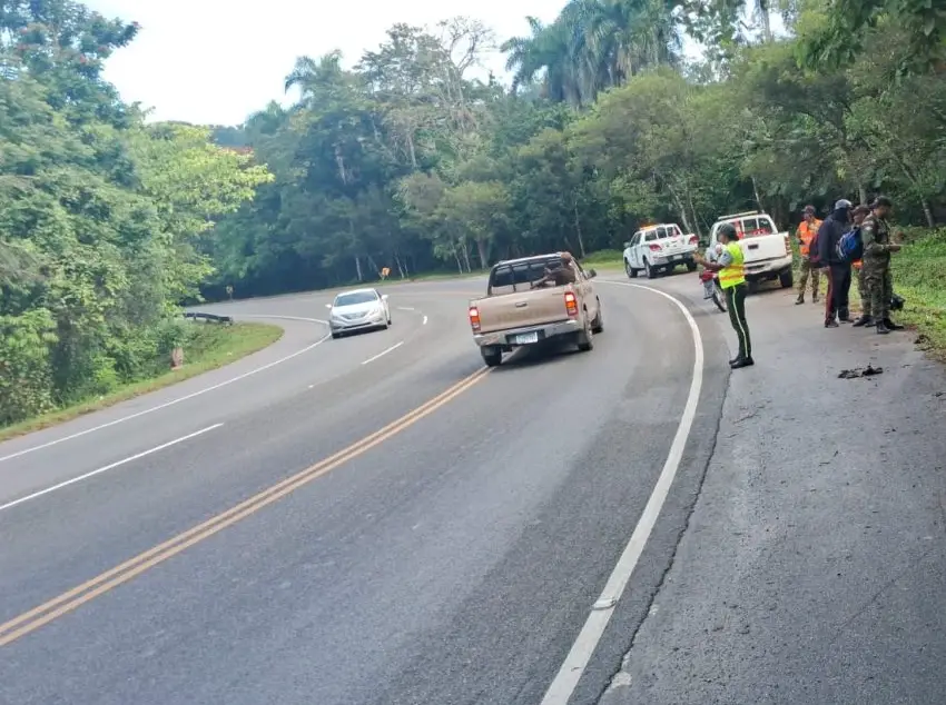 Hallazgo de cuerpo sin vida en Autovía: Desarrollo y detalles